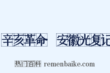 辛亥革命·安徽光复记是什么意思的图片